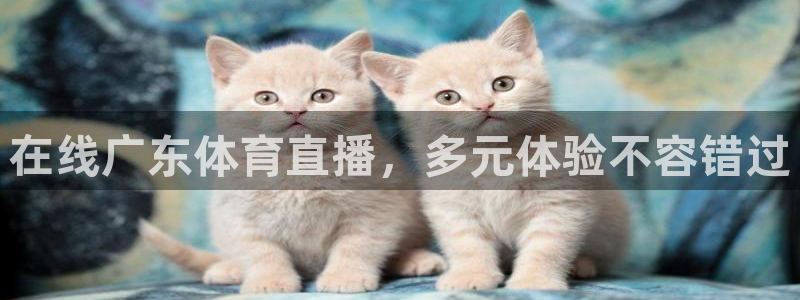 在线广东体育直播，多元体验不容错过